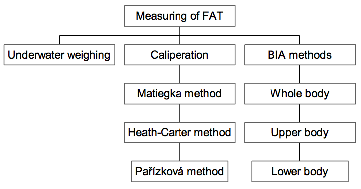 Understanding Body Composition Measurements